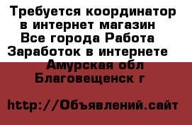 Требуется координатор в интернет-магазин - Все города Работа » Заработок в интернете   . Амурская обл.,Благовещенск г.